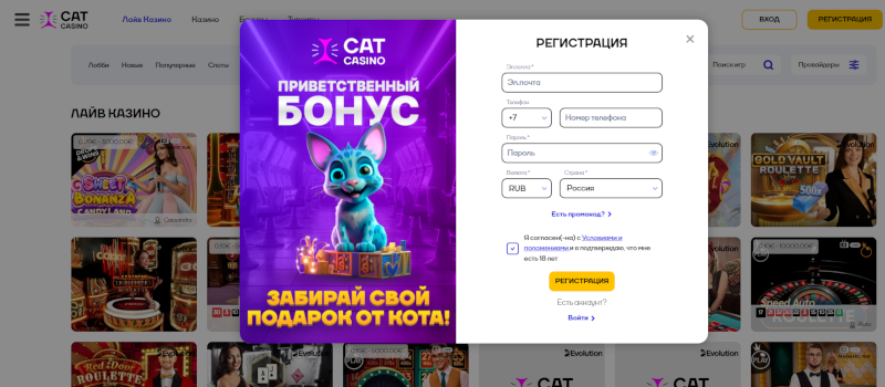 Регистрация в казино Кэт